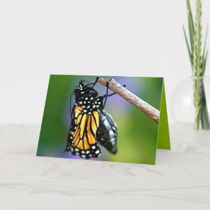 Cartão Emerging Butterfly