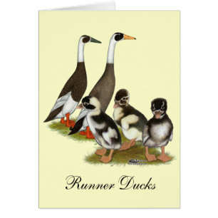 Cartão Emery Penciled Runner Duck Family