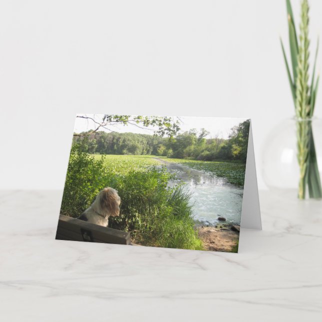 Cartão Emma Reflecting Card (Frente)