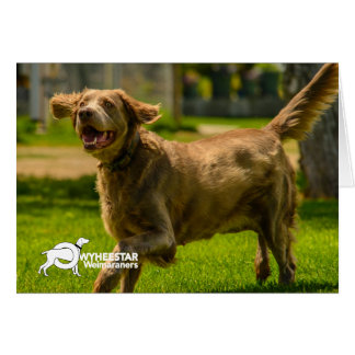 Cartão Empilhadeira Sorridente