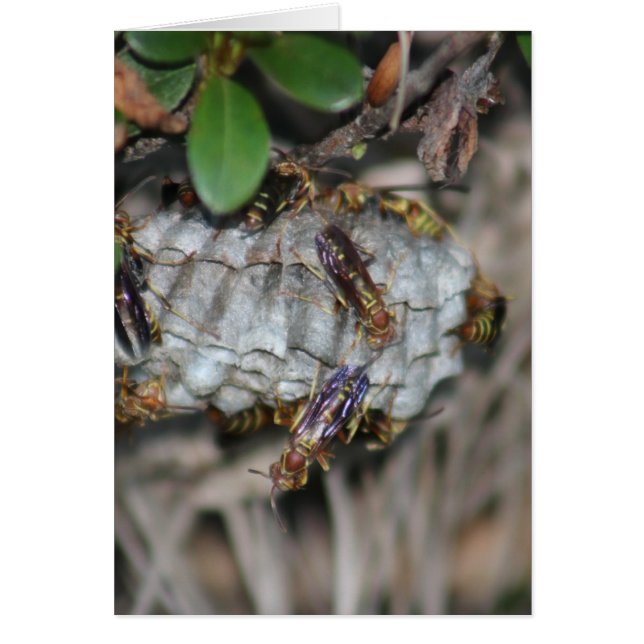 Cartão Empilhadores #2 (Frente)