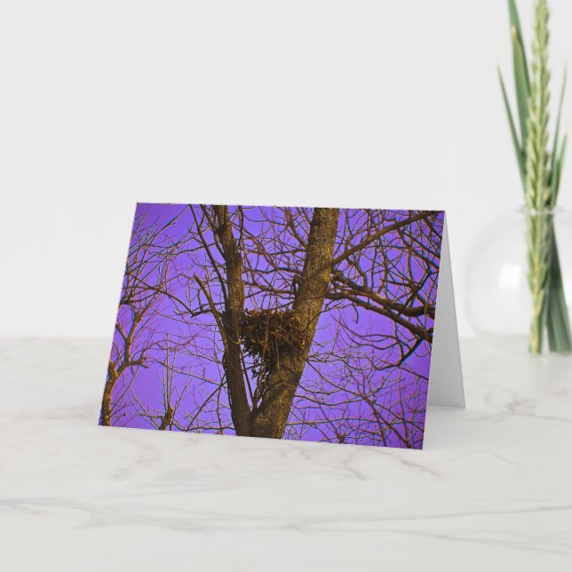 Cartão Empty Nest Note Card (Frente)