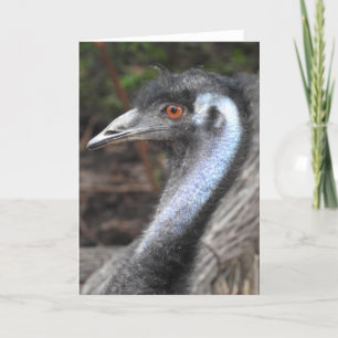 Cartão Emu Greeting Card