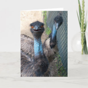 Cartão Emu Greeting Card