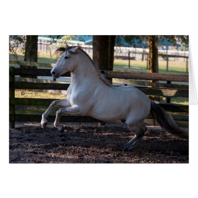 Cartão Encargo (Frente Horizontal)