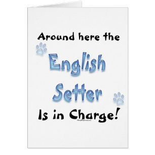 Cartão Encargo do Setter Inglês