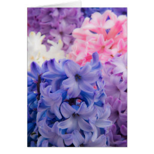 Cartão Encerramento da fábrica Hyacinth