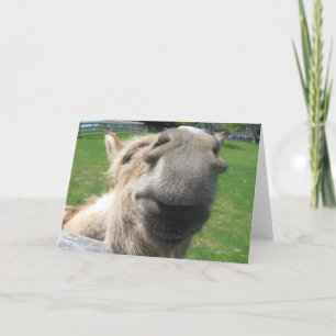 Cartão Encerre o Burro Engraçado