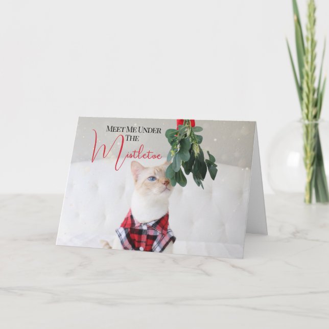 Cartão Encontre-Me Sob O Natal De Gato Mistletoe (Frente)