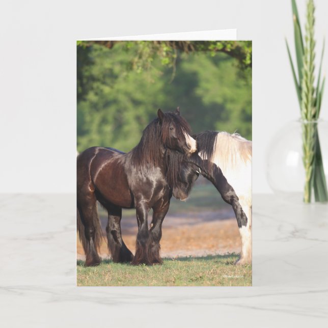 Cartão Encontro com Vanners Ciganos Pretos e Brancos (Frente)