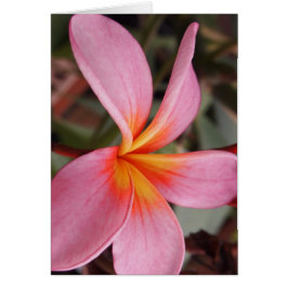 Cartão encontro romântico flores rsvp colorido chique
