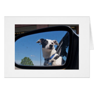 CARTÃO ENCORAJAMENTO