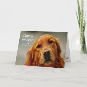 Cartão Encorajamento/ Fique Bem Cachorro Cute Golden Retr