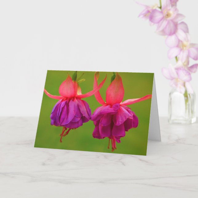 Cartão Encorajamento Floral Para Irmã com Câncer (Orquídea)