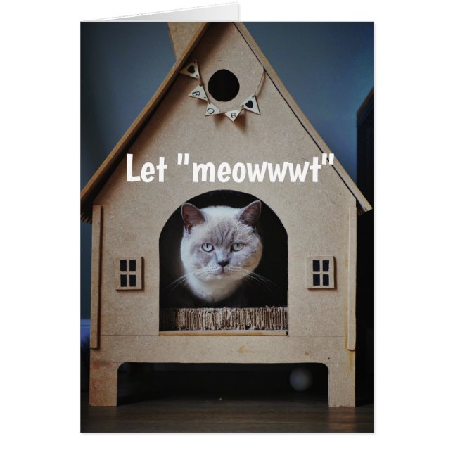 Cartão Encorajamento/ Obter Gato Bem Bonito Olhando (Frente)