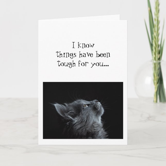 Cartão Encorajamento Olhando para Cima para Deus  Gato an (Frente)