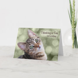 Cartão Encorajamento Pensando em você Tabby Kitten