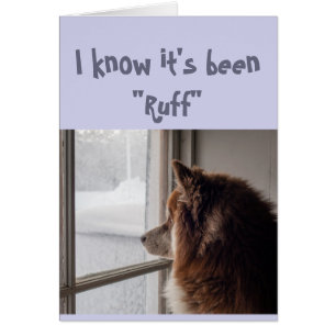 Cartão Encorajar/ Obter Cachorro Bem Bonito Olhando Para