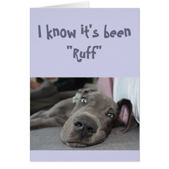 Cartão Encorajar/ Obter Um Bom Cachorro De Dane (Frente)