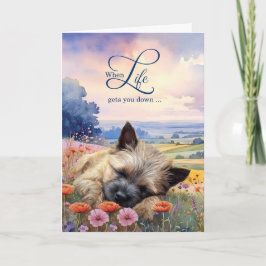 Cartão Encouragement Cairn Terrier Dog Wildflower Meadow