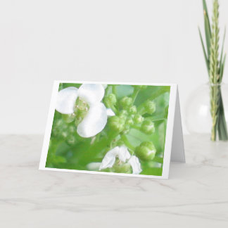 Cartão encouragement card