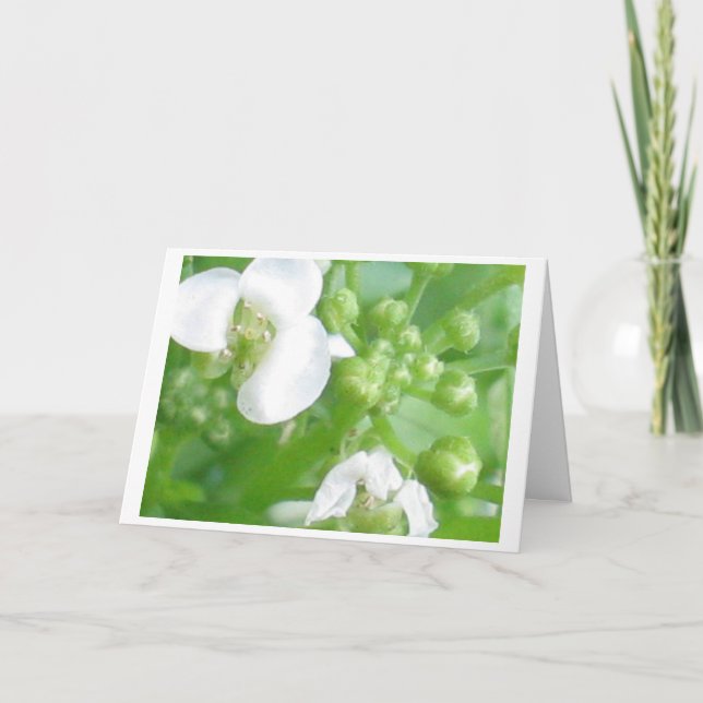 Cartão encouragement card (Frente)