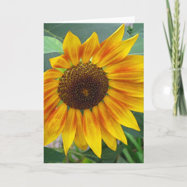 Cartão End of Summer Sunflower card (Frente)