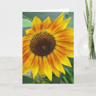 Cartão End of Summer Sunflower card