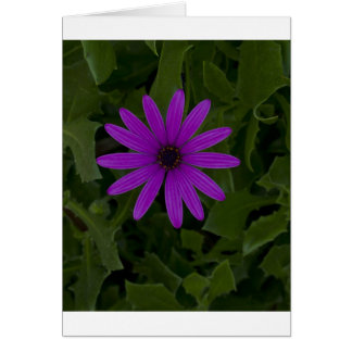 Cartão Energia Roxa