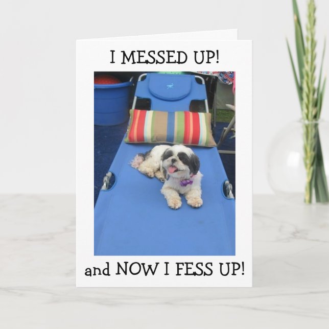 CARTÃO ENGANADO/TARDE DEMAIS PARA DIZER "ANIVERSÁRIO FELI (Frente)