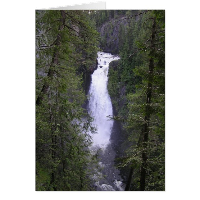 Cartão engano (Frente)