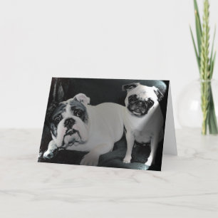 Cartão English Bulldog and Pug Greeting Card