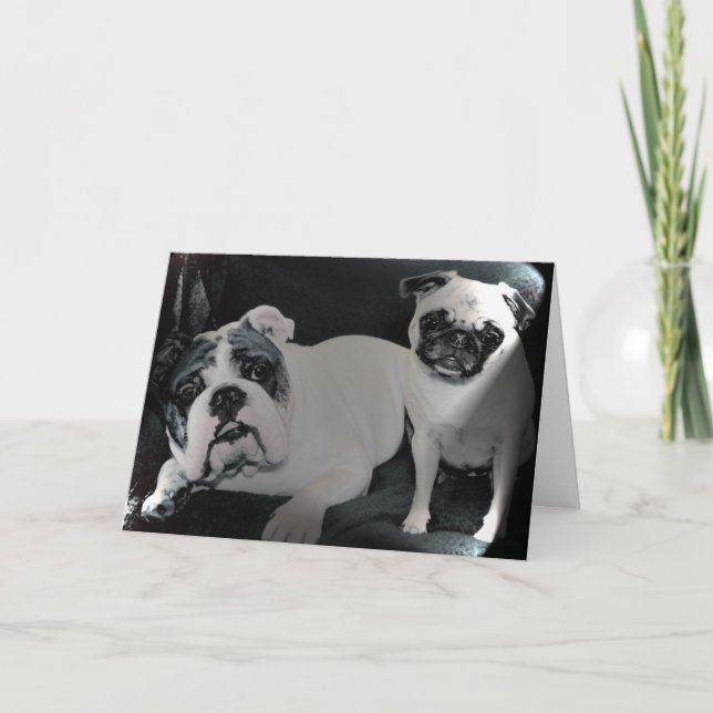 Cartão English Bulldog and Pug Greeting Card (Frente)