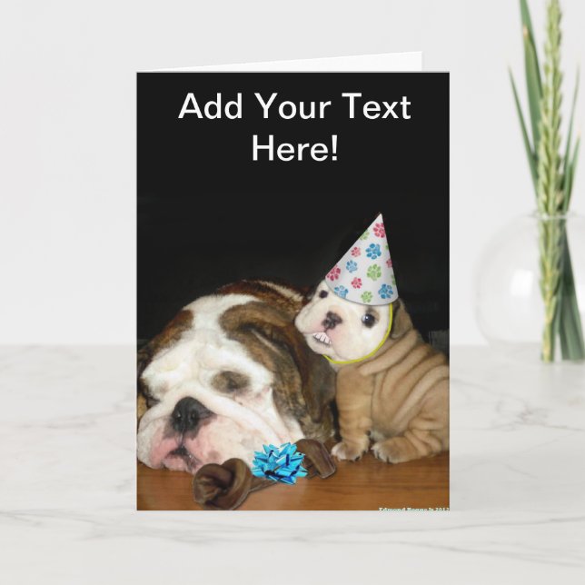 Cartão English Bulldog Birthday (Frente)