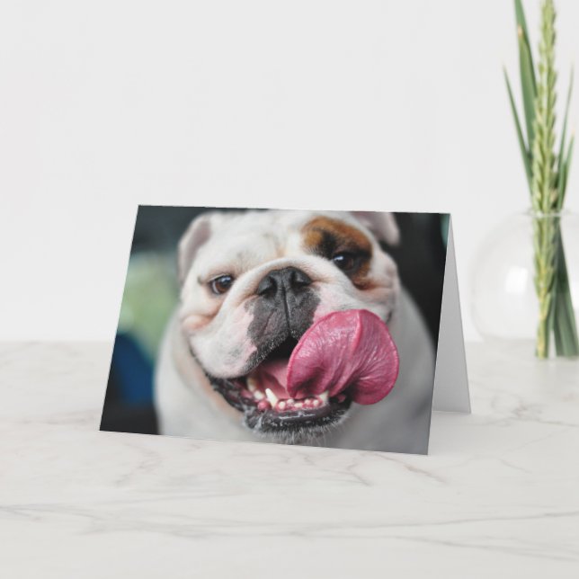 Cartão English Bulldog greeting card (Frente)