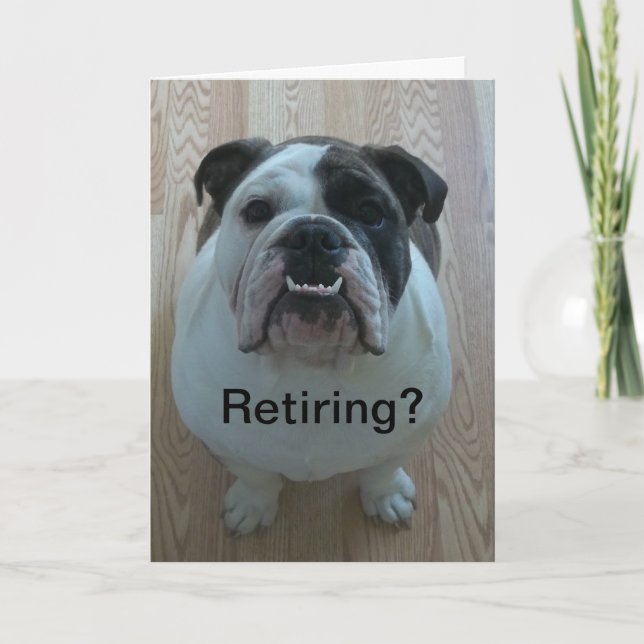Cartão English bulldog happy retirement card! (Frente)