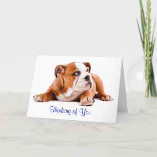 Cartão English Bulldog Thinking of You Card Verse inside