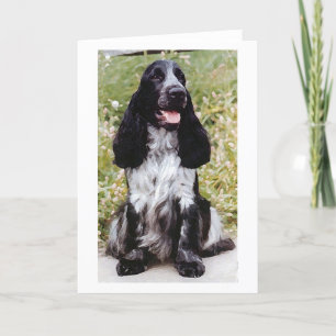 Cartão English Cocker Spaniel Dog Blank Greeting Card