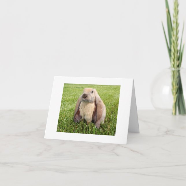 Cartão English Lop Rabbit Note Cards (Frente)