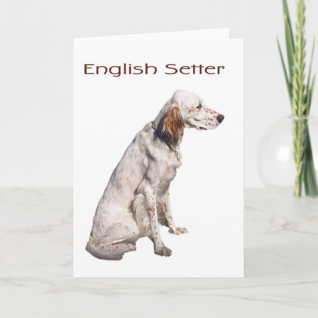 Cartão English Setter (Frente)