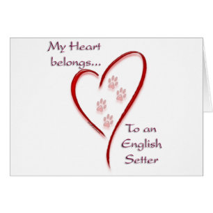 Cartão English Setter Hearts Pertence