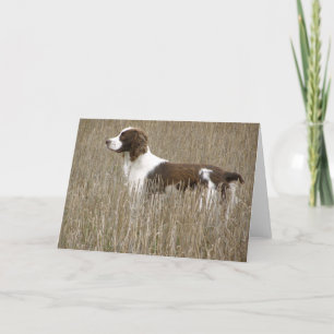 Cartão English Springer Spaniel - Greeting Card