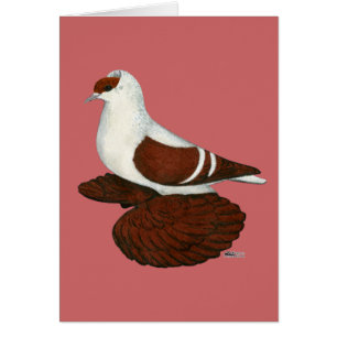 Cartão Engolir: Cabeça Vermelha