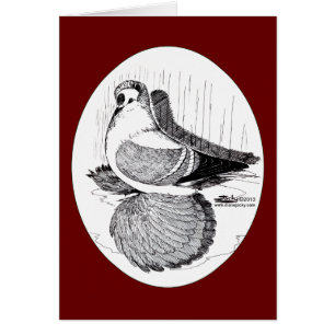 Cartão Engorda de fada 1978