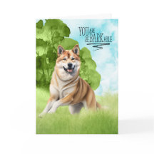 Engraçada reBARKable Parabéns de cães Akita