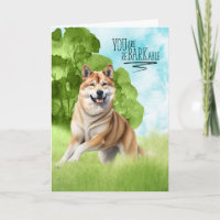 Engraçada reBARKable Parabéns de cães Akita