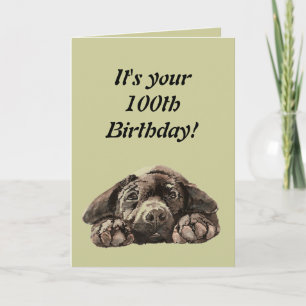Cartão Engraçado 100.º aniversário Personalize Labrador R
