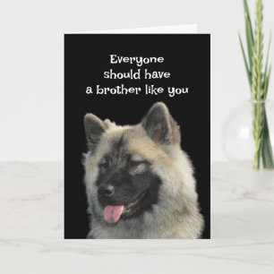 Cartão Engraçado Aniversário Irmão Cão Humor Animal