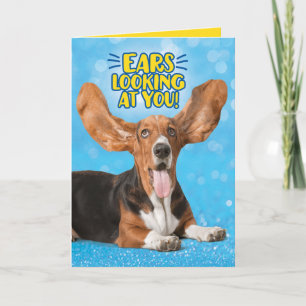 Cartão Engraçado Basset Hound Ears Olhando Para Vocês Par