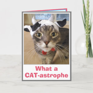 Cartão Engraçado Belo Aniversário